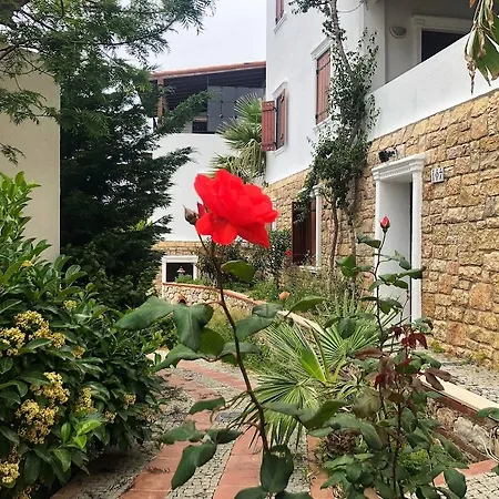 Arion Ξενοδοχείο 3*