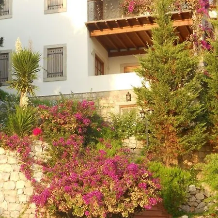 Arion Hotel