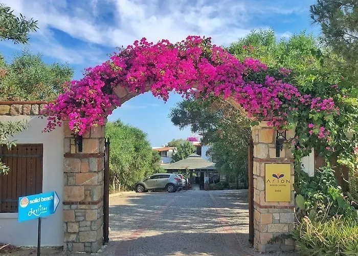 Ξενοδοχείο Arion 3*