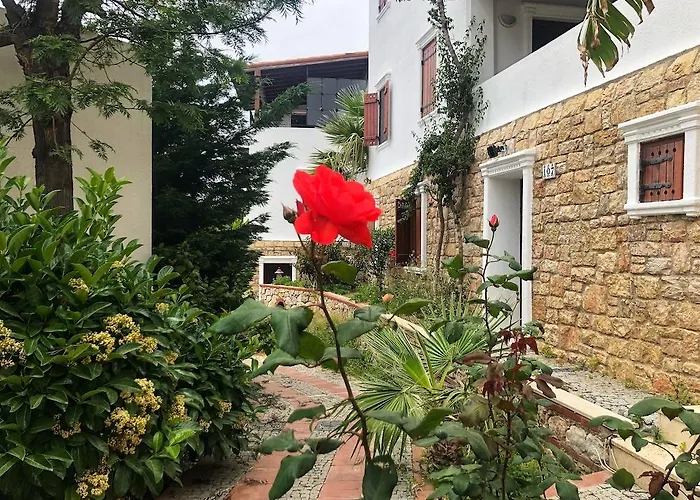 Arion Hotel 3*