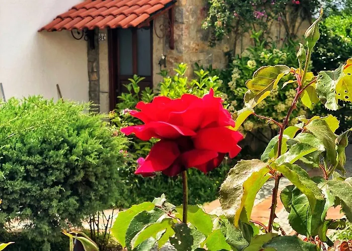 Arion Ξενοδοχείο 3*