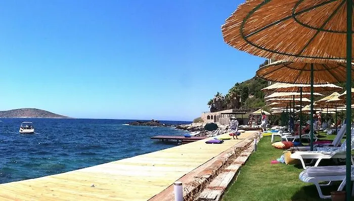 Arion Hotel 3*