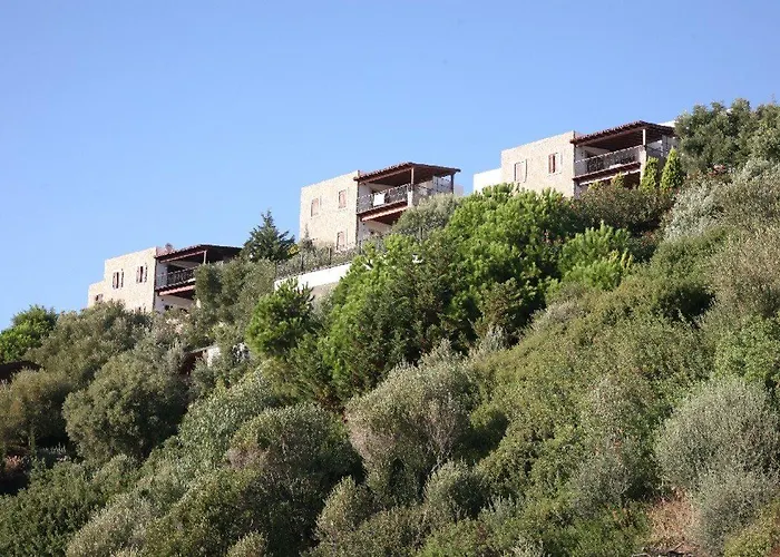 Hotel Arion Gümüşlük