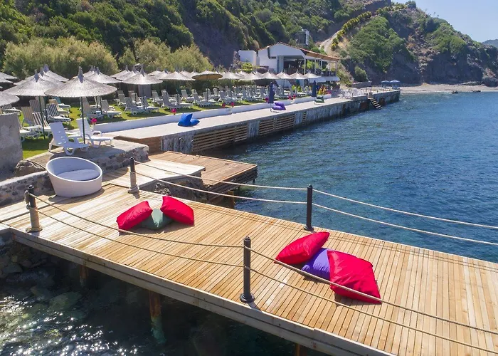 Arion Hotel Gümüşlük