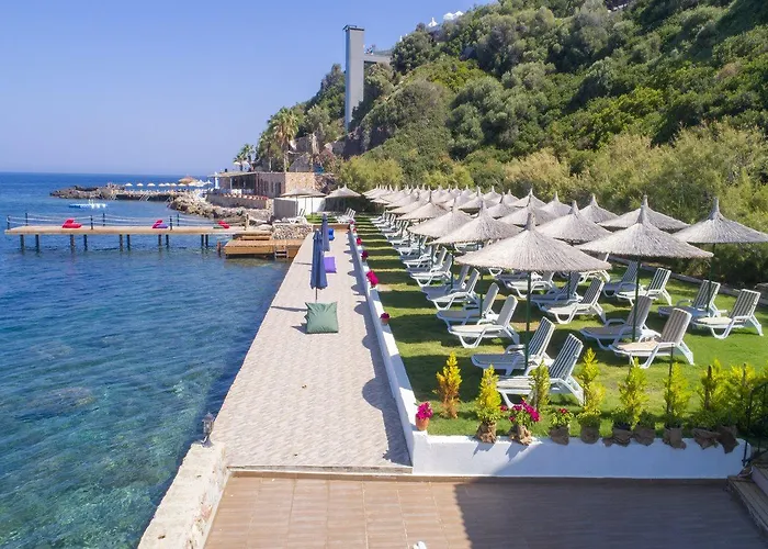 Arion Hotel Gümüşlük