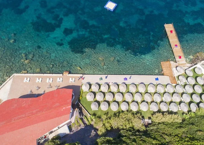 Arion Hotel Gümüşlük