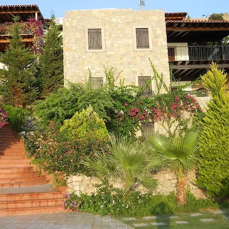 Hotel Arion Gumusluk