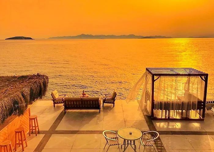 Arion גומושלוק